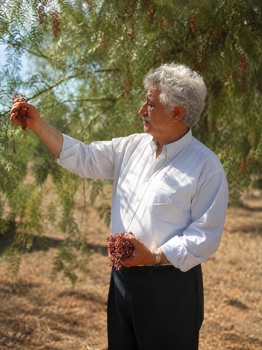 Prof. Dr. h.c. Christos Drossinakis während einer Energieaktivierung.